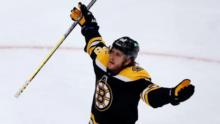 David Pastrnak celebrates a goal for the Boston Bruins.