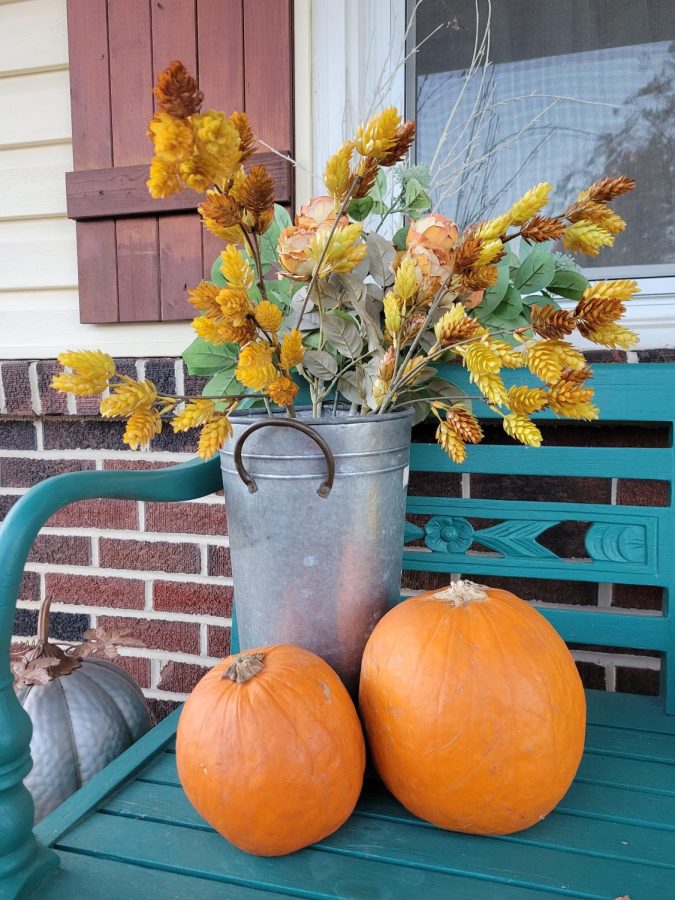 While your pumpkins are fresh, like these ones, cook them up in time for Thanksgiving! Photo Courtesy of Chloe Schlegel 