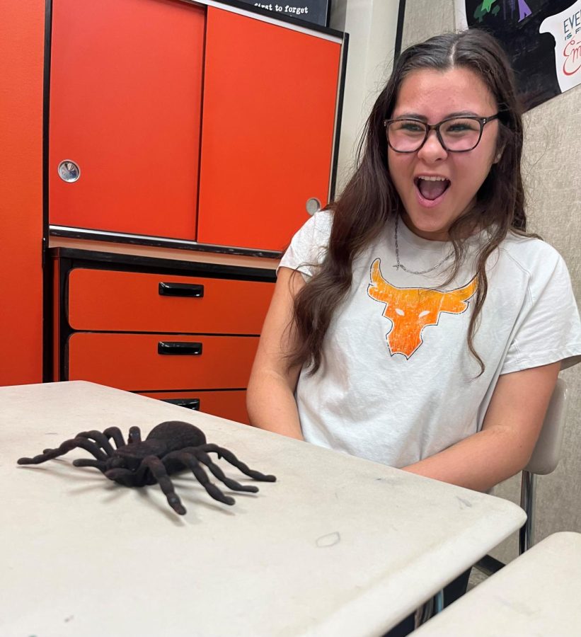  Arachnophobia, you may have heard, is the fear of spiders. Photo Courtesy of Kelli McGee 