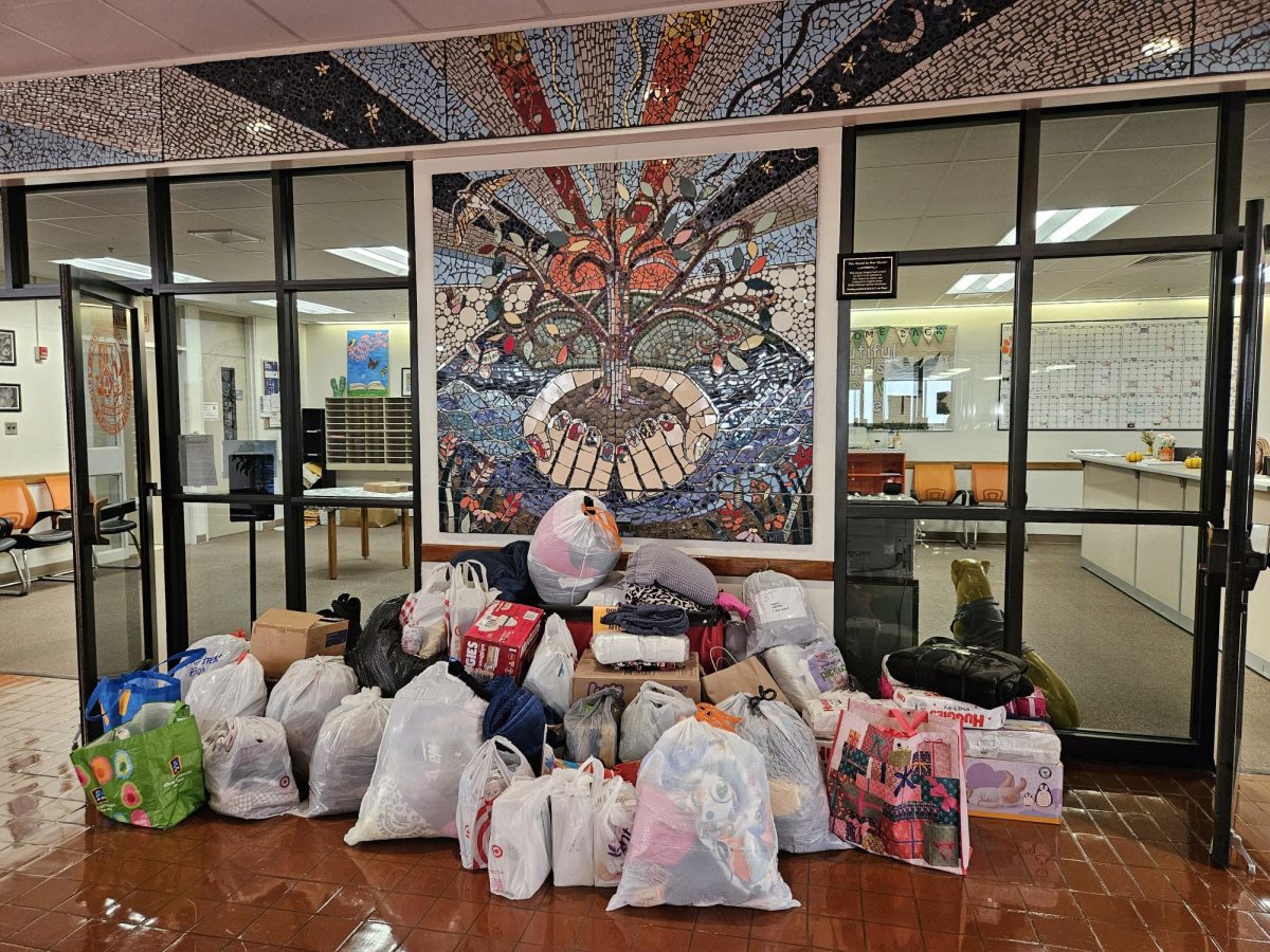 The pile of donations in front of the FHS main office from students and staff. Photo Courtesy of Hannah Mccaig.