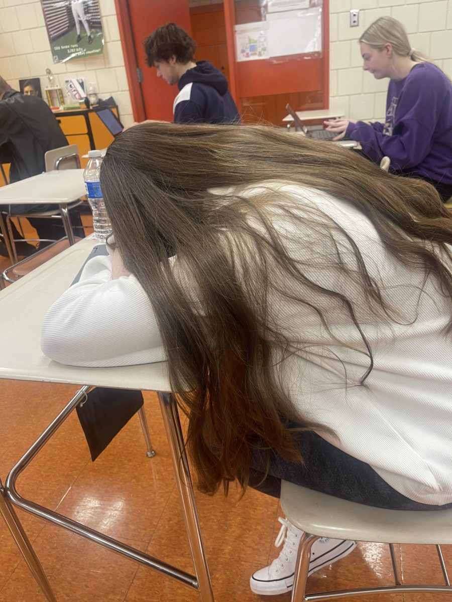 Me falling victim to Senioritis indulging in a joyous slumber with my laptop closed. (Courtesy of Jenna Hawk)  