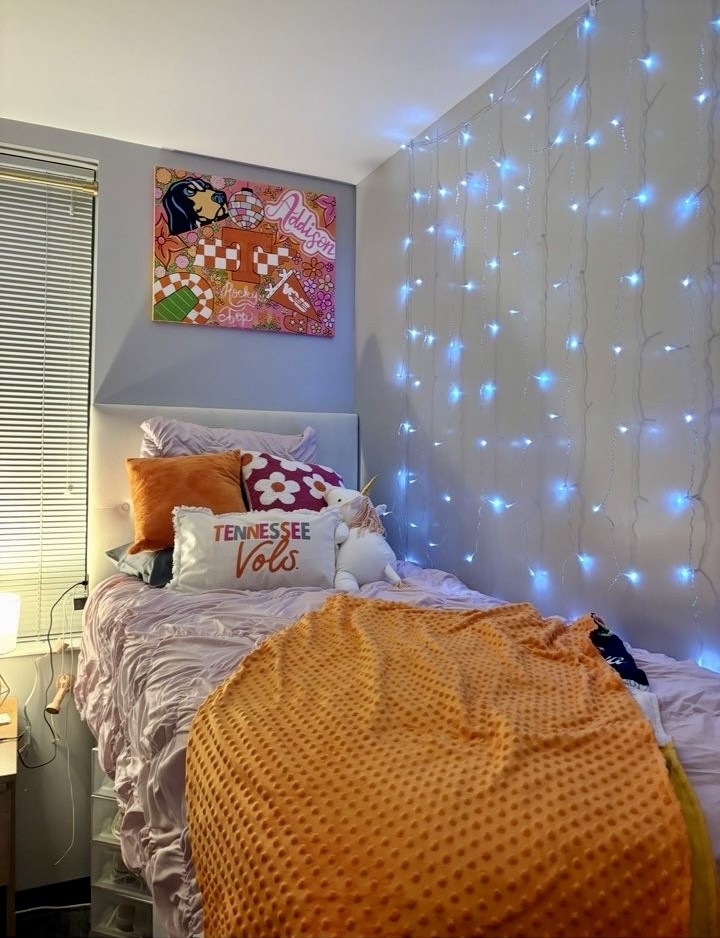 Pictured above is Addy Rebasti's beautifully decorated dorm from Freshman year. Not pictured is the cheap unreliable ottoman. Photo Courtesy of Addy Rebasti.